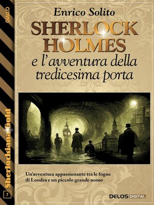 cover image of Sherlock Holmes e l'avventura della tredicesima porta